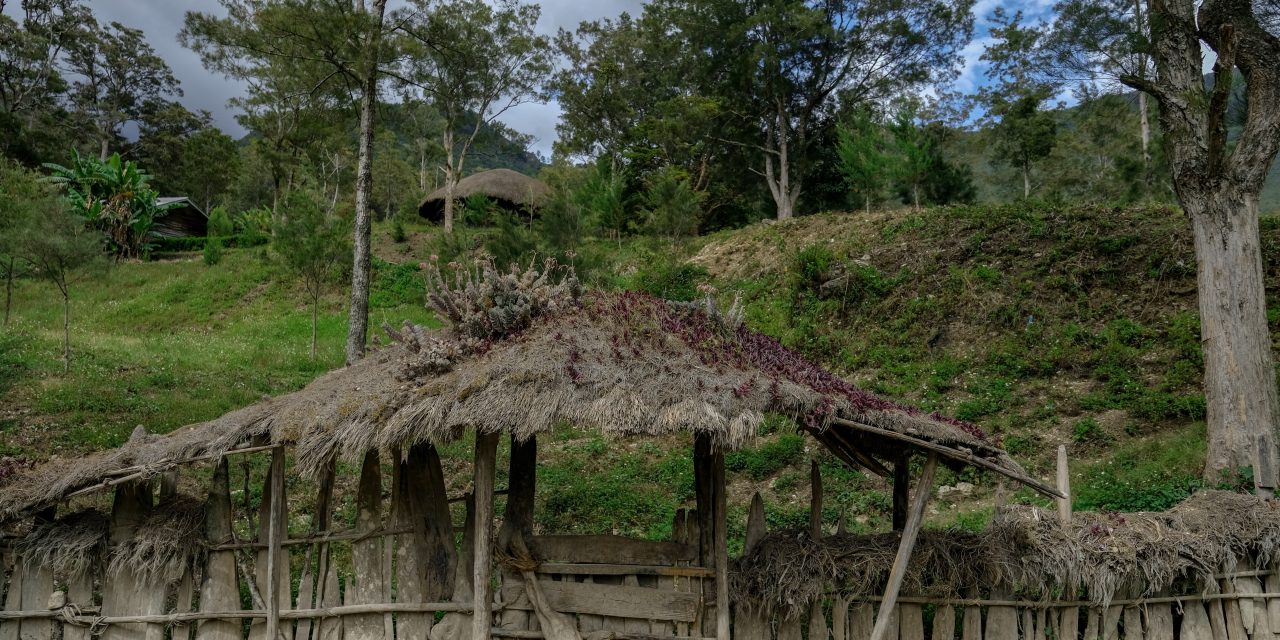 Mendadak Kebun Raya