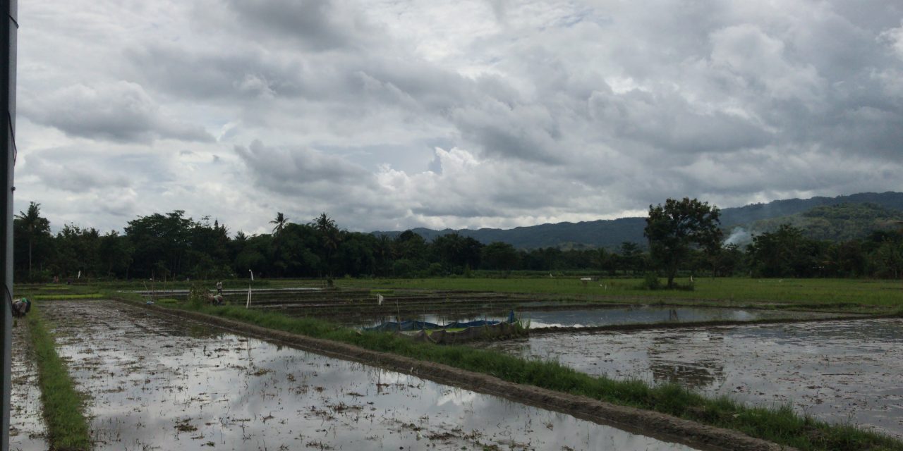 Negeri Tanpa Penunjuk Waktu
